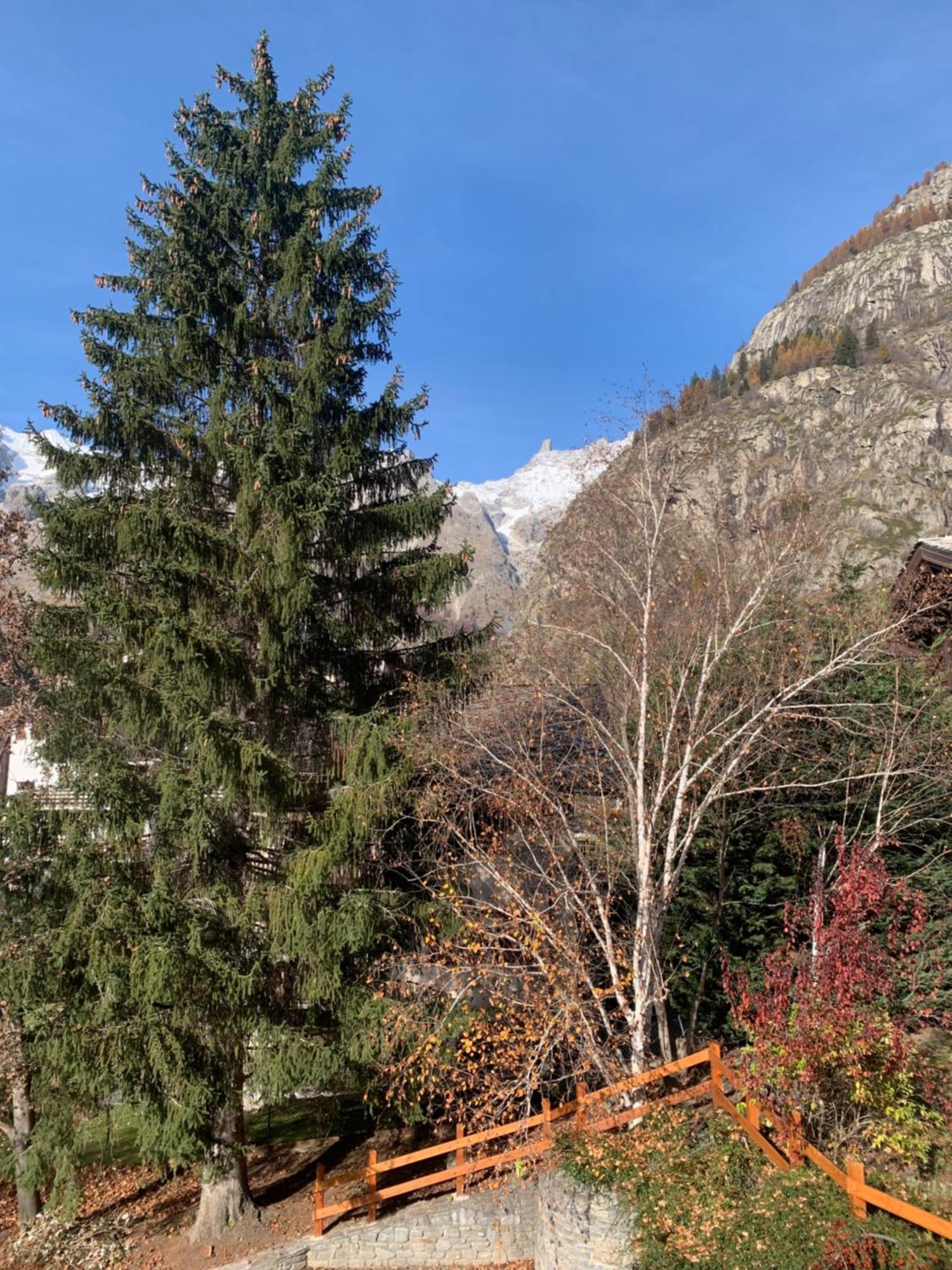 Foyer Grand Ru Apartment Courmayeur Exterior foto